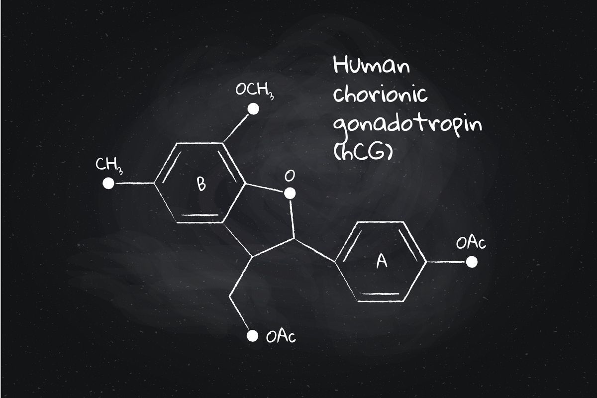 Graviditetstest via blodprov hCG