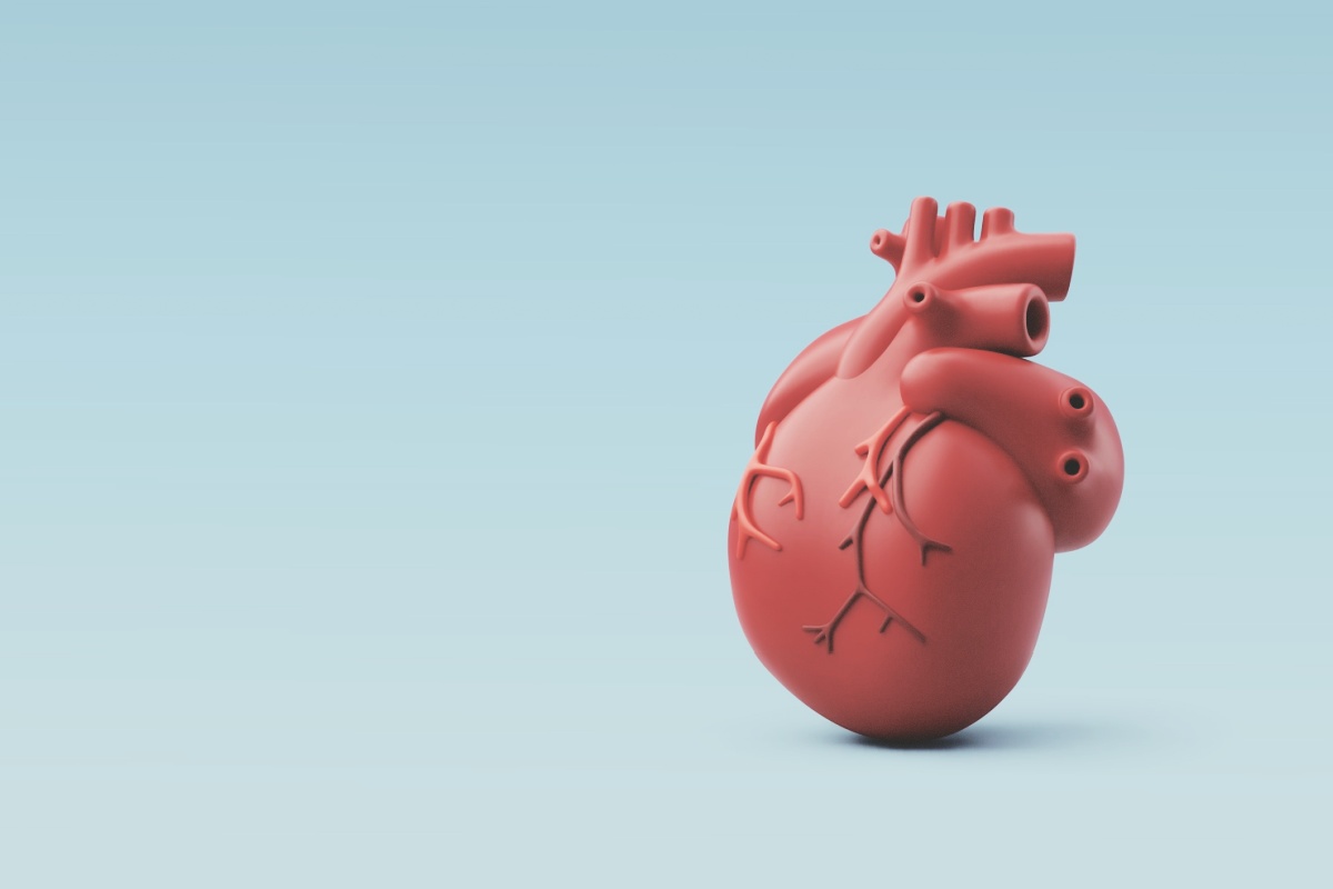 Hjärtat och blodomloppet