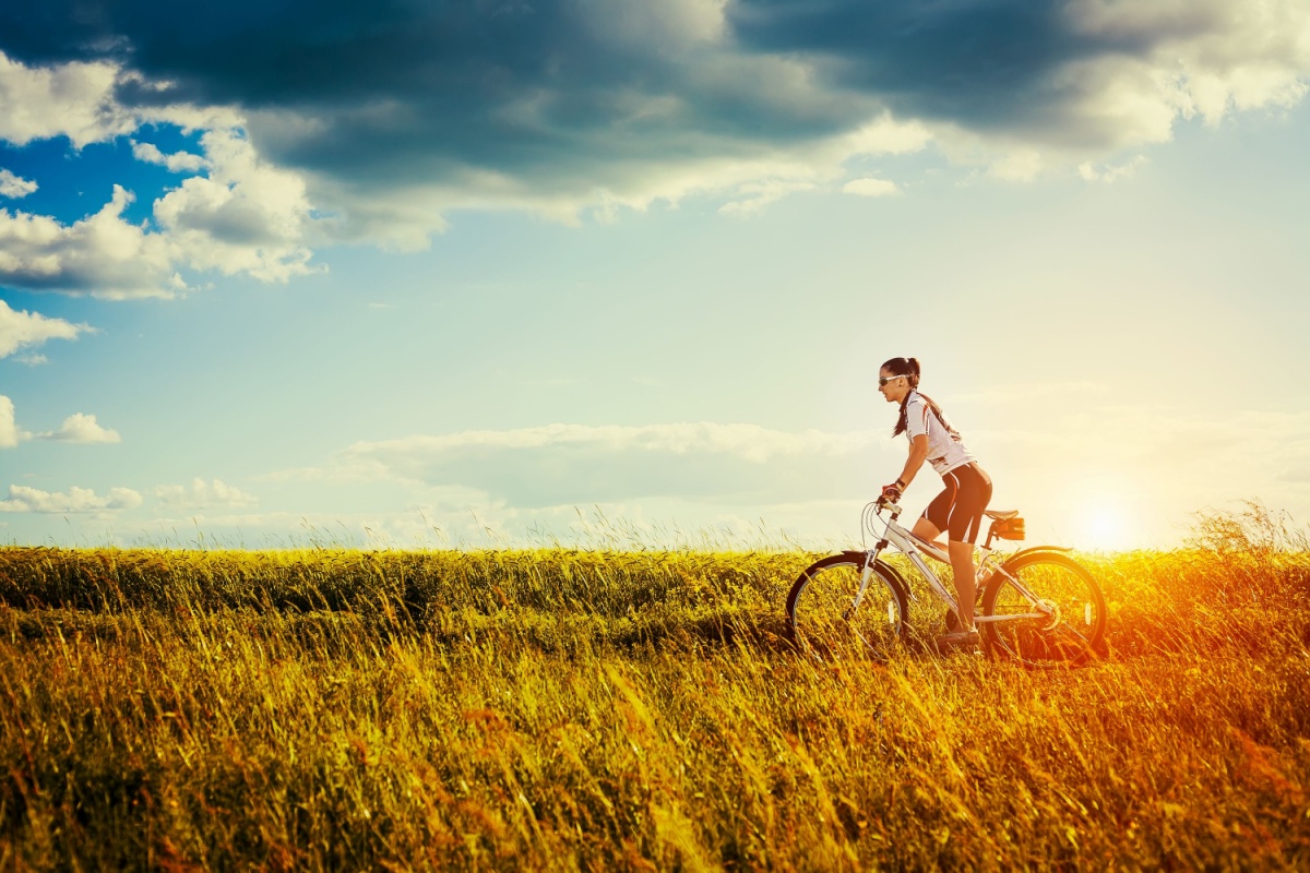 Medisera stipendiet Karlstads Universitet