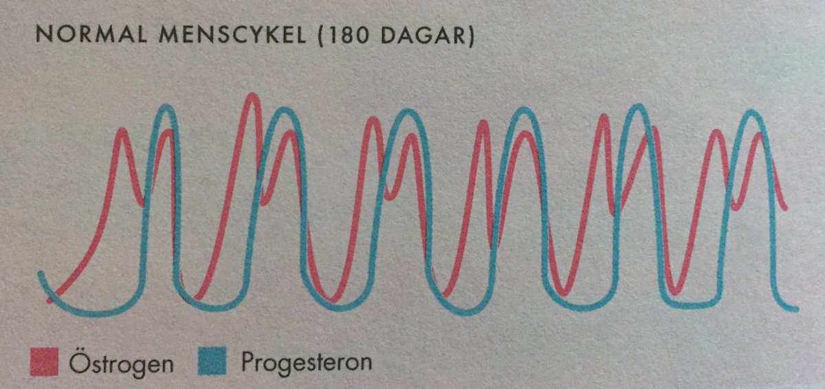 Hormoner i normal menscykel