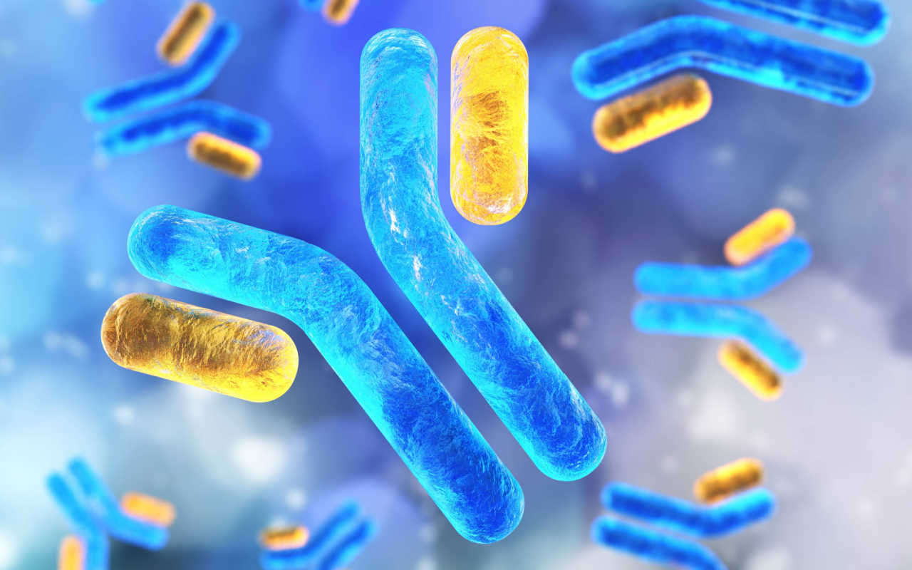 Antikroppar och blodprov