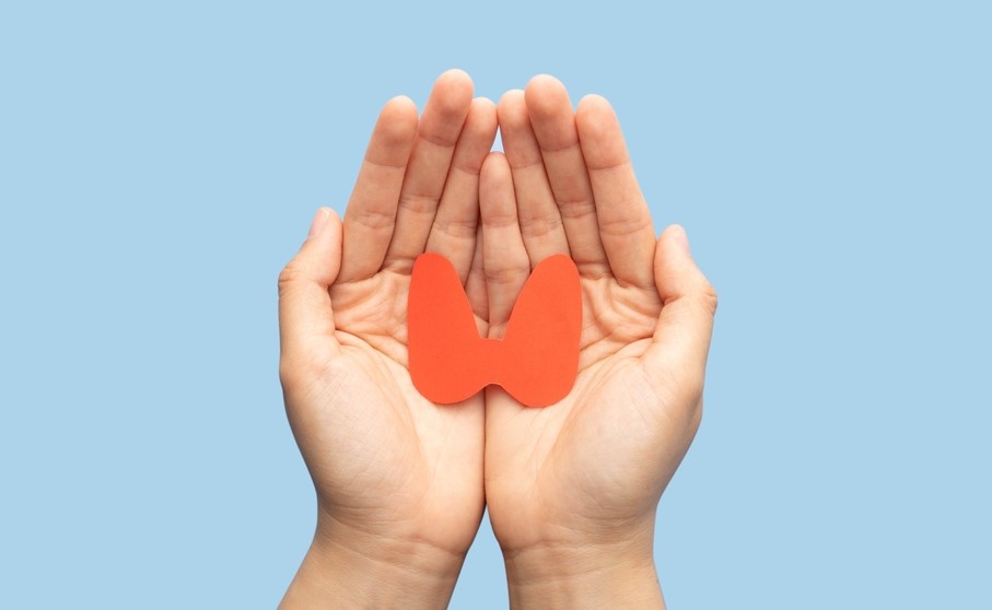 Sköldkörtel blodprover hjärndimma