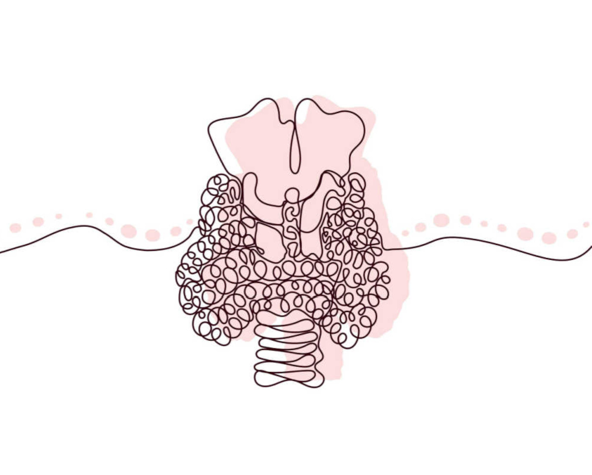 Sköldkörteln och blodprov