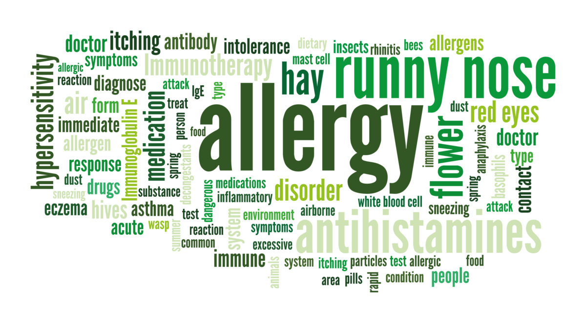 Allergi blodprov diagnos